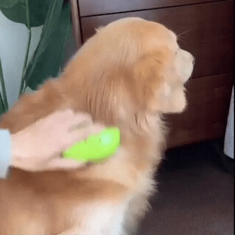 PetSpa® Cepillo Jabonero Masaje Para Mascota