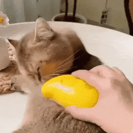 PetSpa® Cepillo Jabonero Masaje Para Mascota