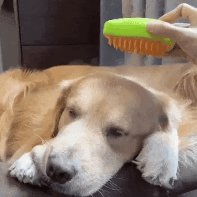 PetSpa® Cepillo Jabonero Masaje Para Mascota